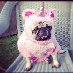 Александр Лапуцкий