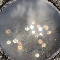 河内っぺ