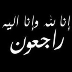 Alaa Zayed