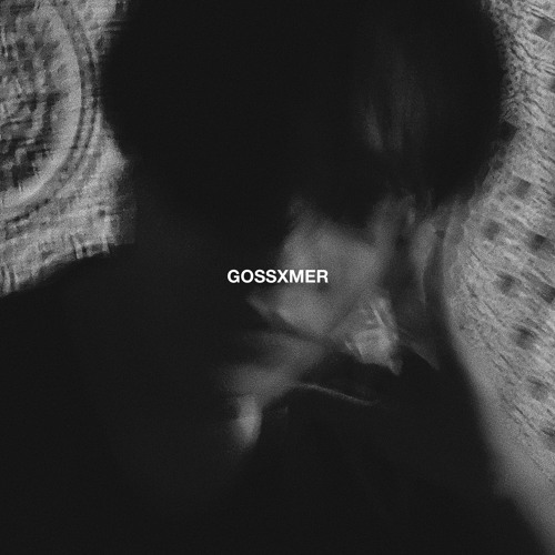 GOSSXMER’s avatar