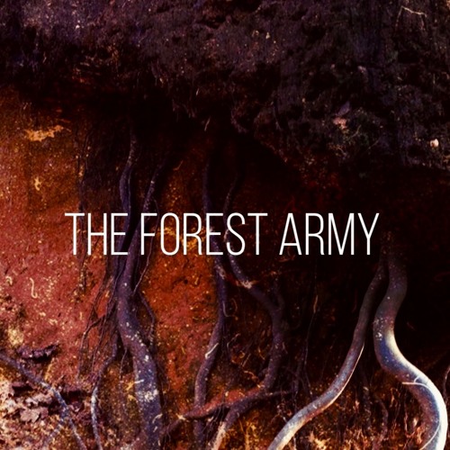🦉The Forest Army🌳 — artist photo