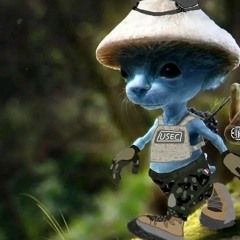 milan_brkiki