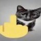 kloutxxet!