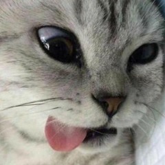 Stream Скачать Обои Клеш Рояль Music | Listen To Songs, Albums.