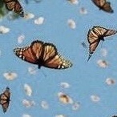 𝘷𝘢𝘭𝘦𝘯𝘵𝘪𝘯𝘦