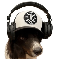 The Raxon Dress Code