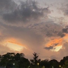 Lostlegs Nora Junglist