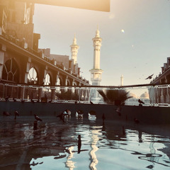 Najah Alkrenawi