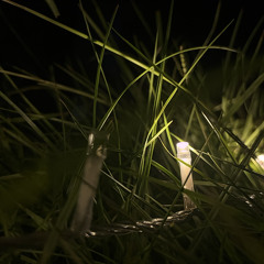 しっと