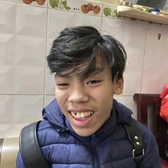 DinhSon Ha