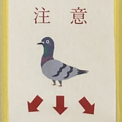 凡裁忍術