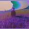 ／Ｓ ｔ ａ ｔ ｕ ｓ： _Ｄ ▲ Ｔ ▲ ／