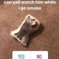 SUPDOZ
