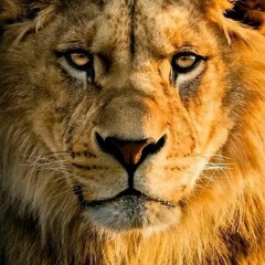 2GRE PROMO🎼🎶🎼🎧🎶🎼