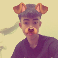 Sơn Vinamiu