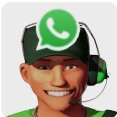Whatsapp Scout.