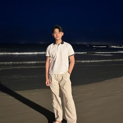 NGUYEN HOANG TUAN TU