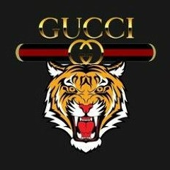 gucci😎💸