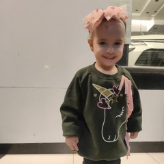 محمود الشافعى