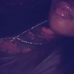 Kasshhellodarealest