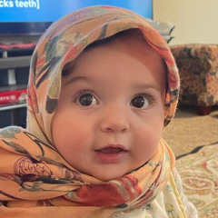 ayla daoud