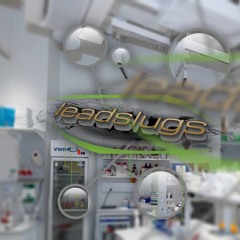 leadslugs