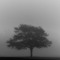 hollow
