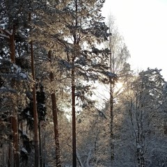 Олег Богданов
