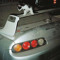 miau_supraa80