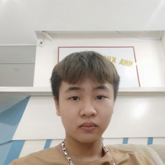 Đức Anh Lê