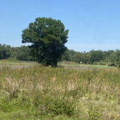 Angel2fyforu 🇲🇽