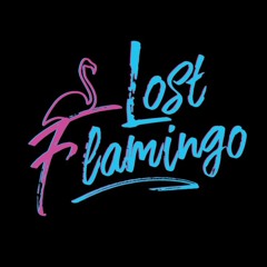 Lost Flamingo