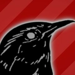 Black Wren