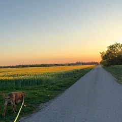Johann