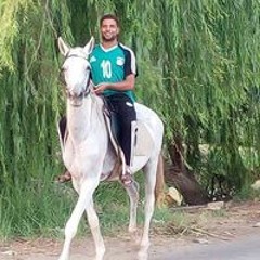 رضا الفرسان