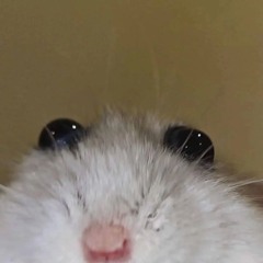 Omyshka