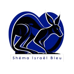 EEIF - Shema Israël Bleu💙🖤