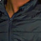 F Aleanzi