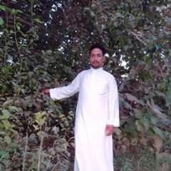 Abu Jarjis Al-Buhairi