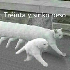 Elpen Dejo