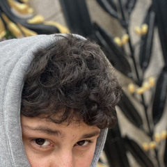whoislior