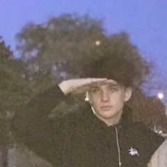 WhosGavo⭐️