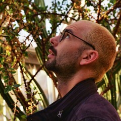 Fabian Weiss