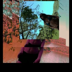 EHNOIZE