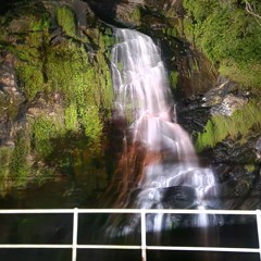 damper_monstar85🔊🎶