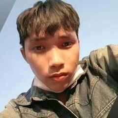 Vũ Triệu Hiền Vương