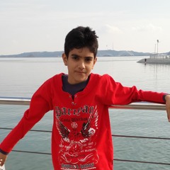 Alishirkhani