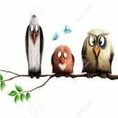 Drei Freie Vögel
