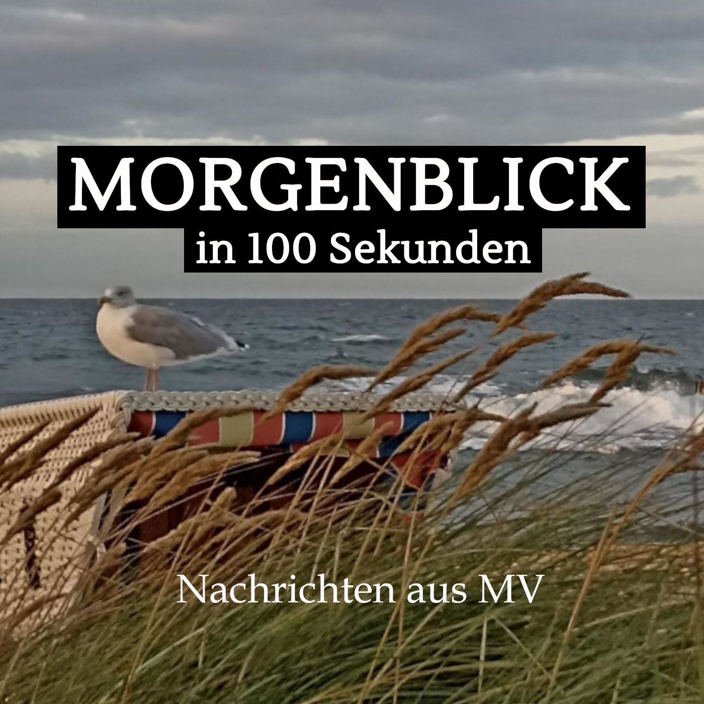 MORGENBLICK in 100 Sekunden