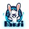 dj_hansi